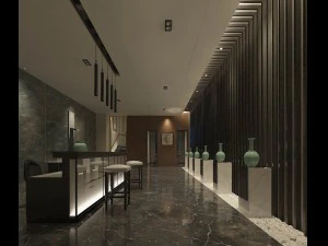 progettazione completa della sala reception dell'hotel 03 Modello 3D