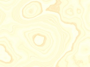 15 seamless light wood background textures CG テクスチャ