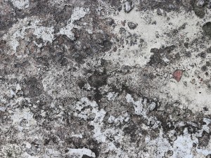 10 old concrete background textures CG Textures