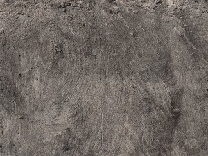 10 old concrete background textures CG Textures