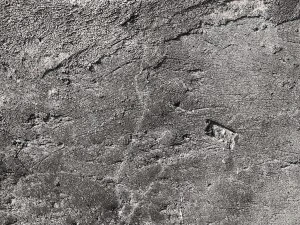 10 old concrete background textures CG Textures