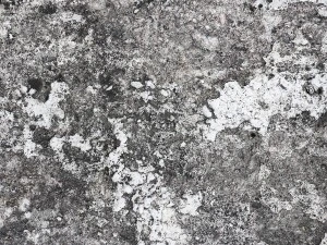 10 old concrete background textures CG Textures