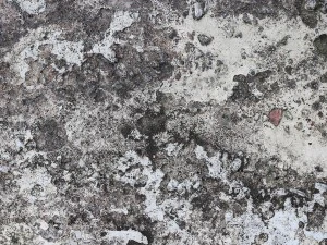 10 old concrete background textures CG Textures