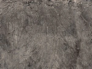 10 old concrete background textures CG Textures