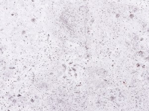 20 concrete wall background textures CG Текстури
