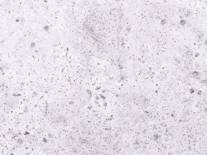 20 concrete wall background textures CG Textures