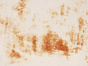 20 metal wall background textures CG Textures