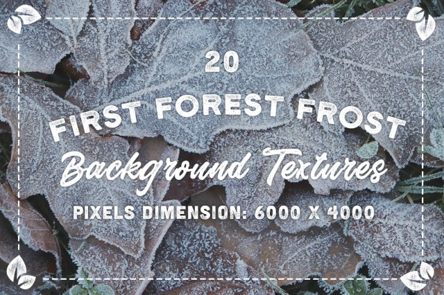 20 first forest frost backgrounds CG Texturen .c4d .max .obj .3ds .fbx .stl .blend 