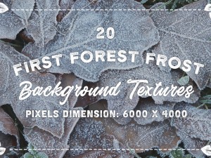 20 first forest frost backgrounds CG Texturen