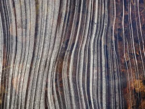 10 fundos de superf&iacute;cie de lago de gelo Texturas CG
