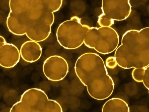 20 luminescent cells backgrounds CG Textures