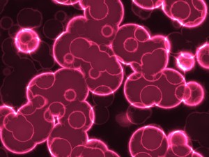20 luminescent cells backgrounds Texturas CG