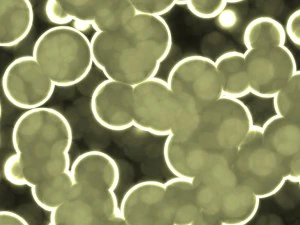 20 luminescent cells backgrounds CG Textures