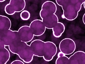20 luminescent cells backgrounds Texturas CG