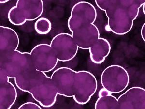 20 luminescent cells backgrounds CG Textures