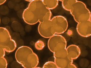 20 luminescent cells backgrounds Texturas CG