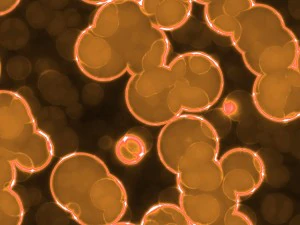 20 luminescent cells backgrounds CG Textures