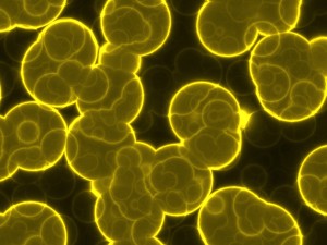 20 luminescent cells backgrounds Texturas CG