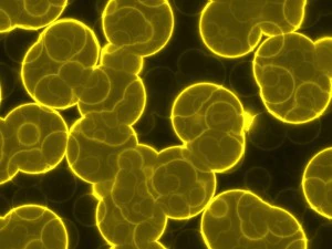 20 luminescent cells backgrounds CG Textures