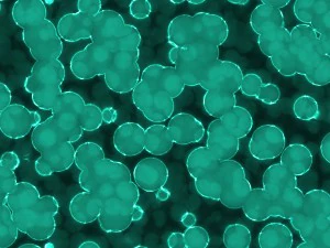 20 luminescent cells backgrounds CG Textures