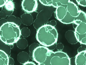 20 luminescent cells backgrounds Texturas CG