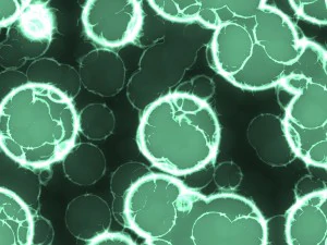 20 luminescent cells backgrounds CG Textures