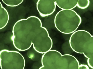 20 luminescent cells backgrounds Texturas CG
