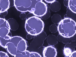 20 luminescent cells backgrounds CG Textures