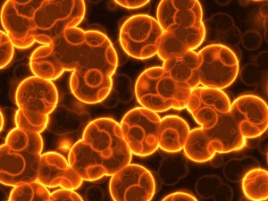 20 luminescent cells backgrounds Texturas CG