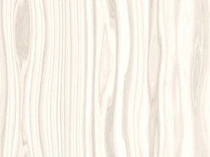 15 white wood background textures CG Textures