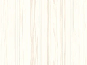 15 white wood background textures CG Textures