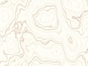 15 white wood background textures CG Textures