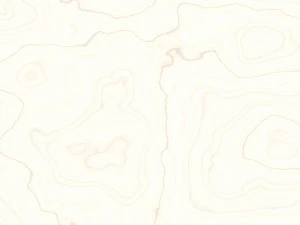 15 white wood background textures CG Textures