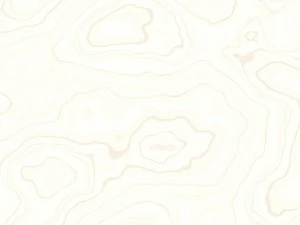 15 white wood background textures CG Textures