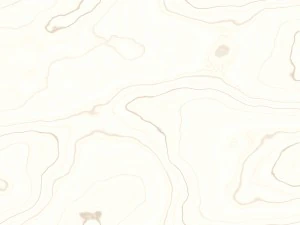 15 white wood background textures CG Textures