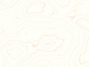 15 white wood background textures CG Textures