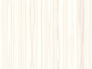 15 white wood background textures CG Textures