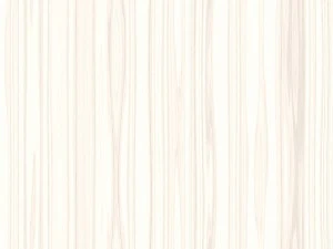 15 white wood background textures CG Textures