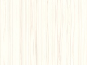 15 white wood background textures CG Textures