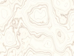 15 white wood background textures CG Textures