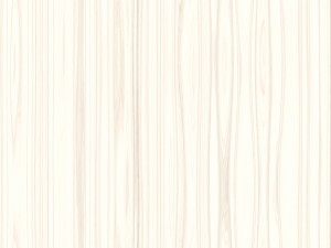 15 white wood background textures CG Textures