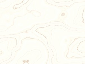 15 white wood background textures CG Textures