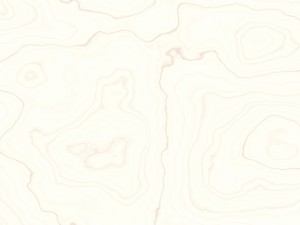 15 white wood background textures CG Textures