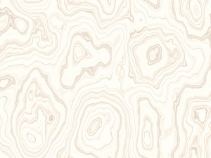 15 white wood background textures CG Textures