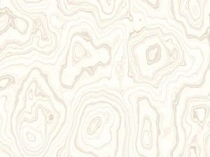 15 white wood background textures CG Textures
