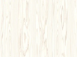 15 white wood background textures CG Textures