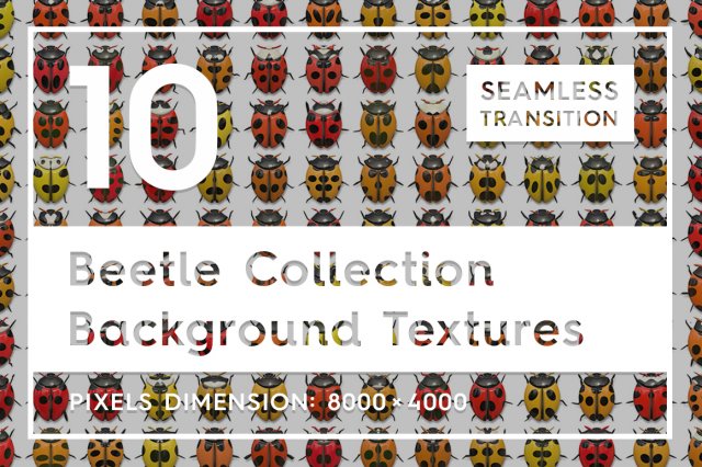 10 beetle collection backgrounds Tekstur CG .c4d .max .obj .3ds .fbx .stl .blend 