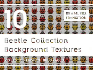 10 甲虫集合背景 CG 纹理