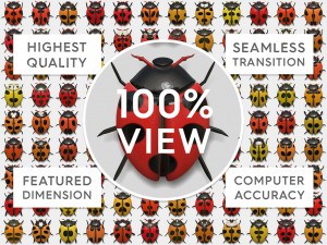 10 beetle collection backgrounds Tekstur CG