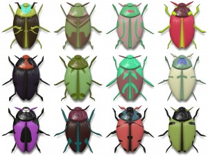 10 beetle collection backgrounds Tekstur CG